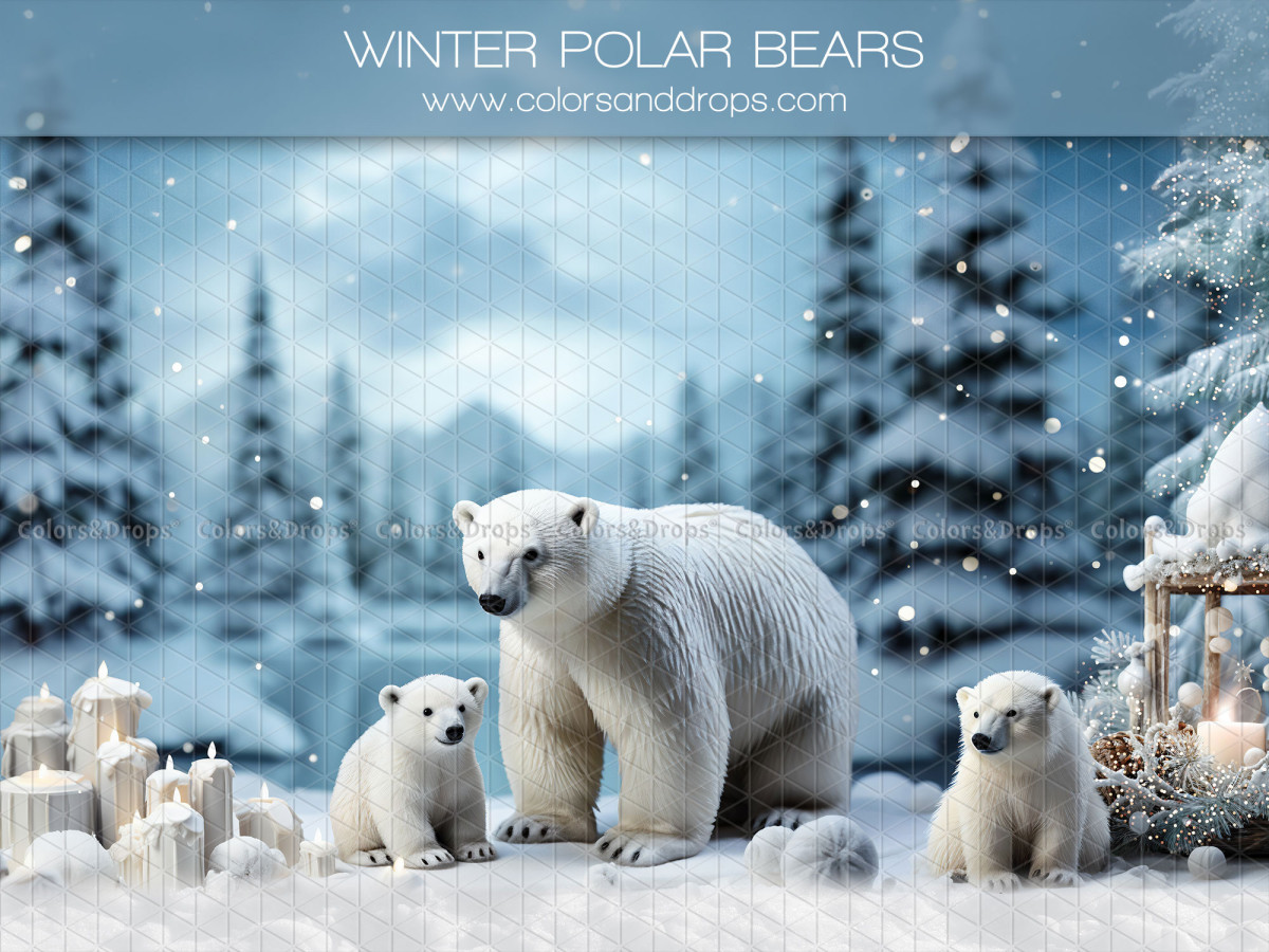 Fond photo de Noël Winter Polar Bears – famille d'ours polaires dans un paysage enneigé | Colors&Drops