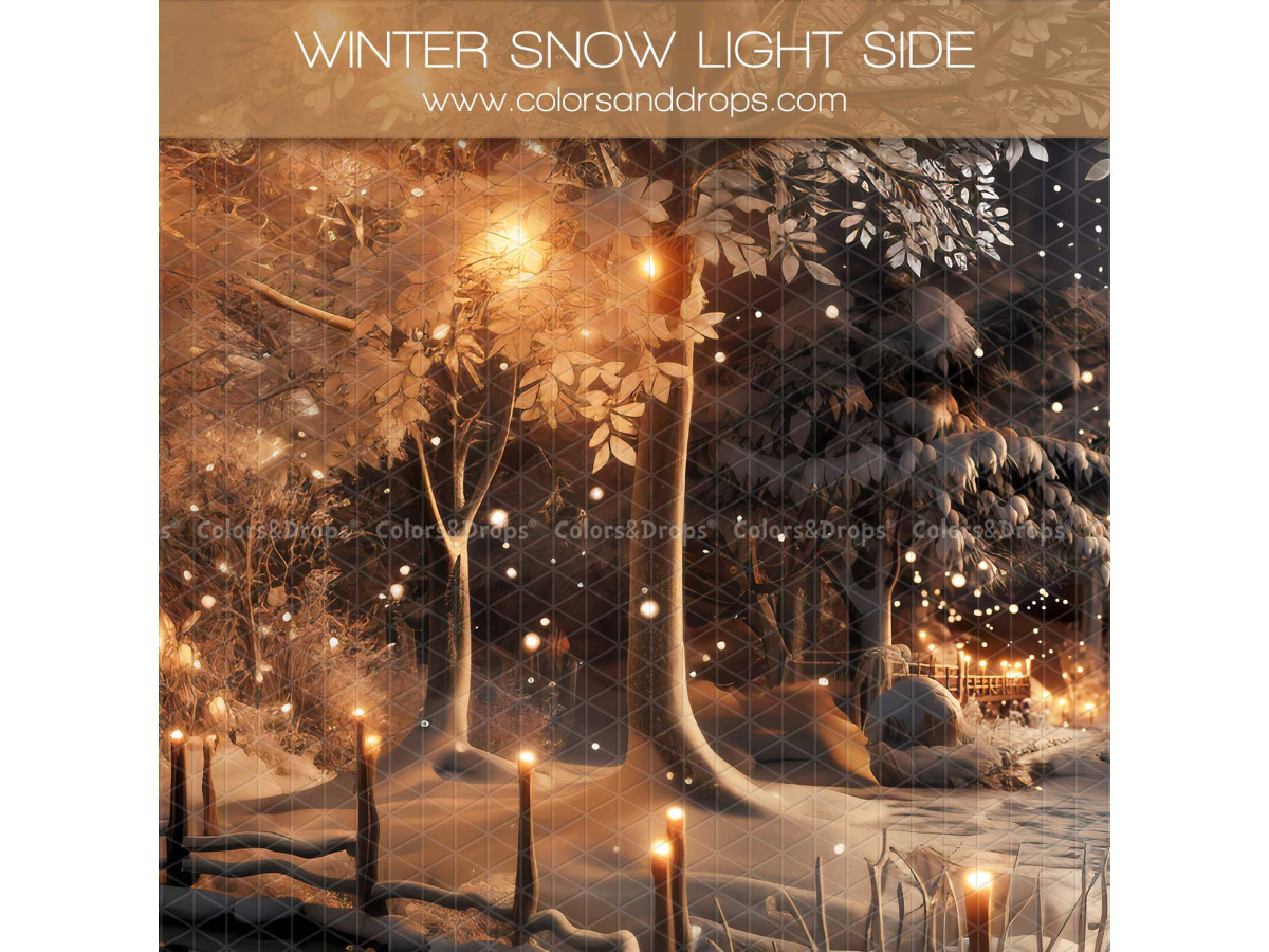 Fond photo d'angle de Noël Winter Snow Light – forêt d'hiver lumineuse avec sol de neige tassée | Colors&Drops