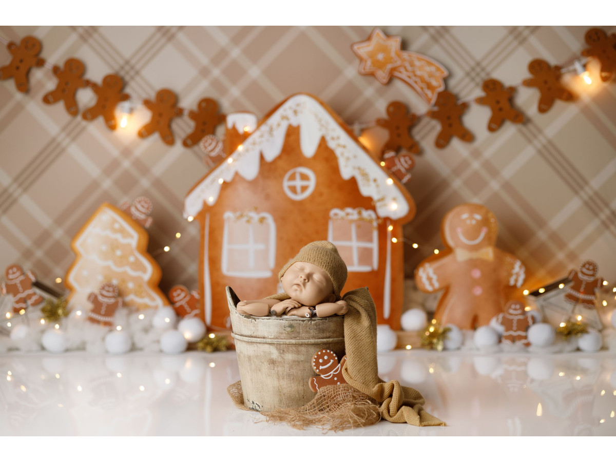Fond photo bébé et smash cake Petits Pains – maison et bonshommes en pain d'épices sur tartan beige | Colors&Drops