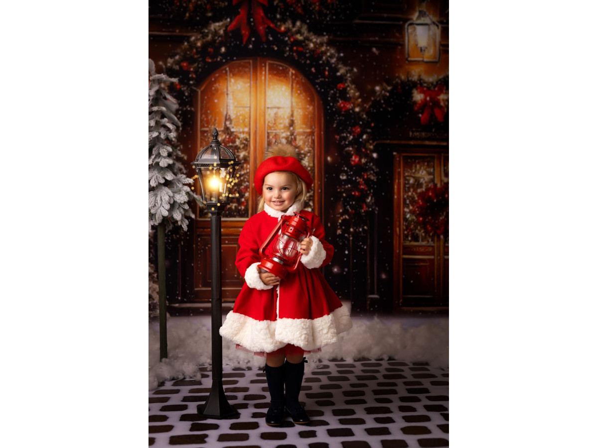 Fondo fotográfico de Navidad Art Door – puertas de madera arqueadas con coronas rojas y abetos | Colors&Drops