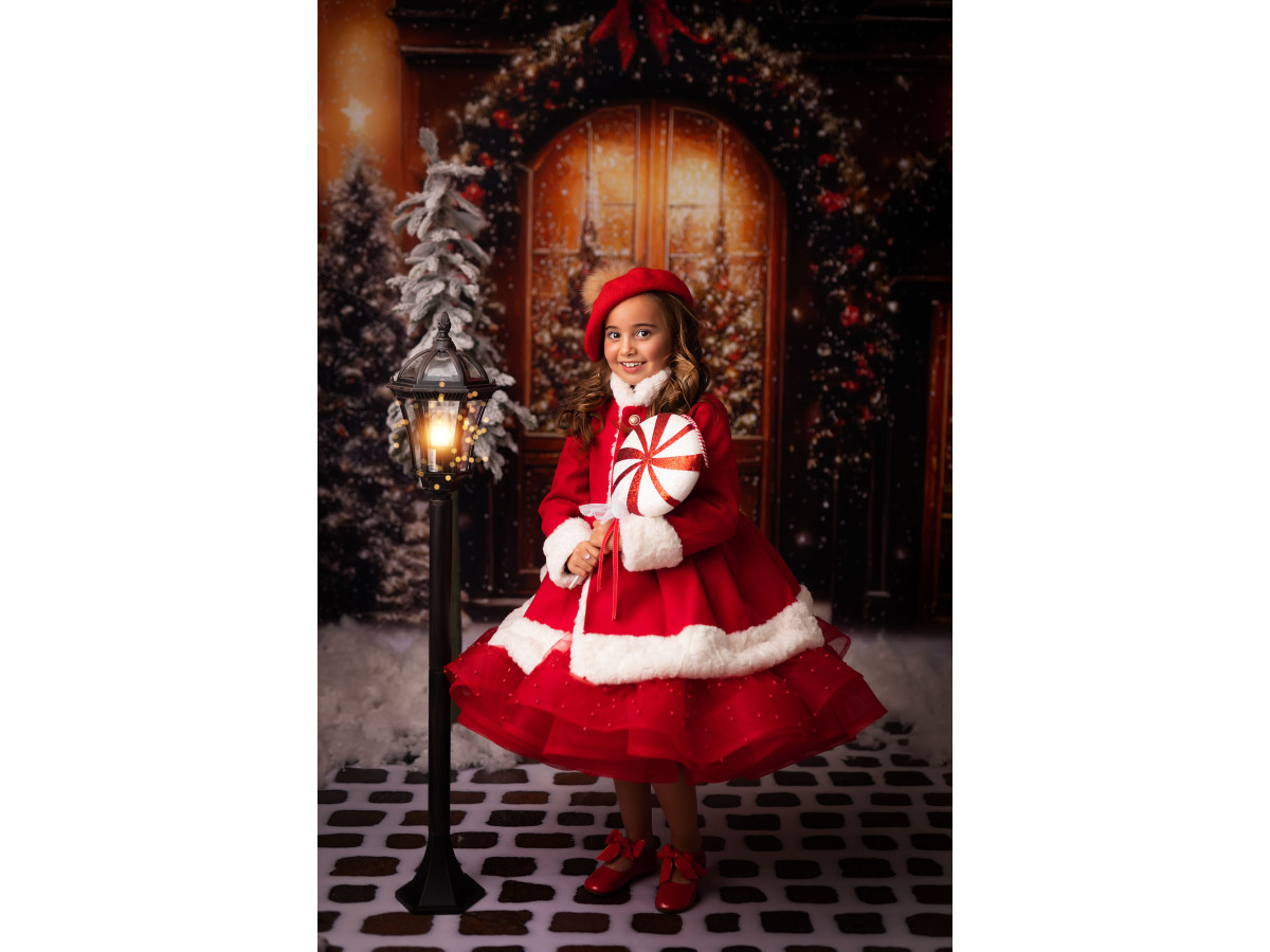 Fondo fotográfico de Navidad Art Door – puertas de madera arqueadas con coronas rojas y abetos | Colors&Drops