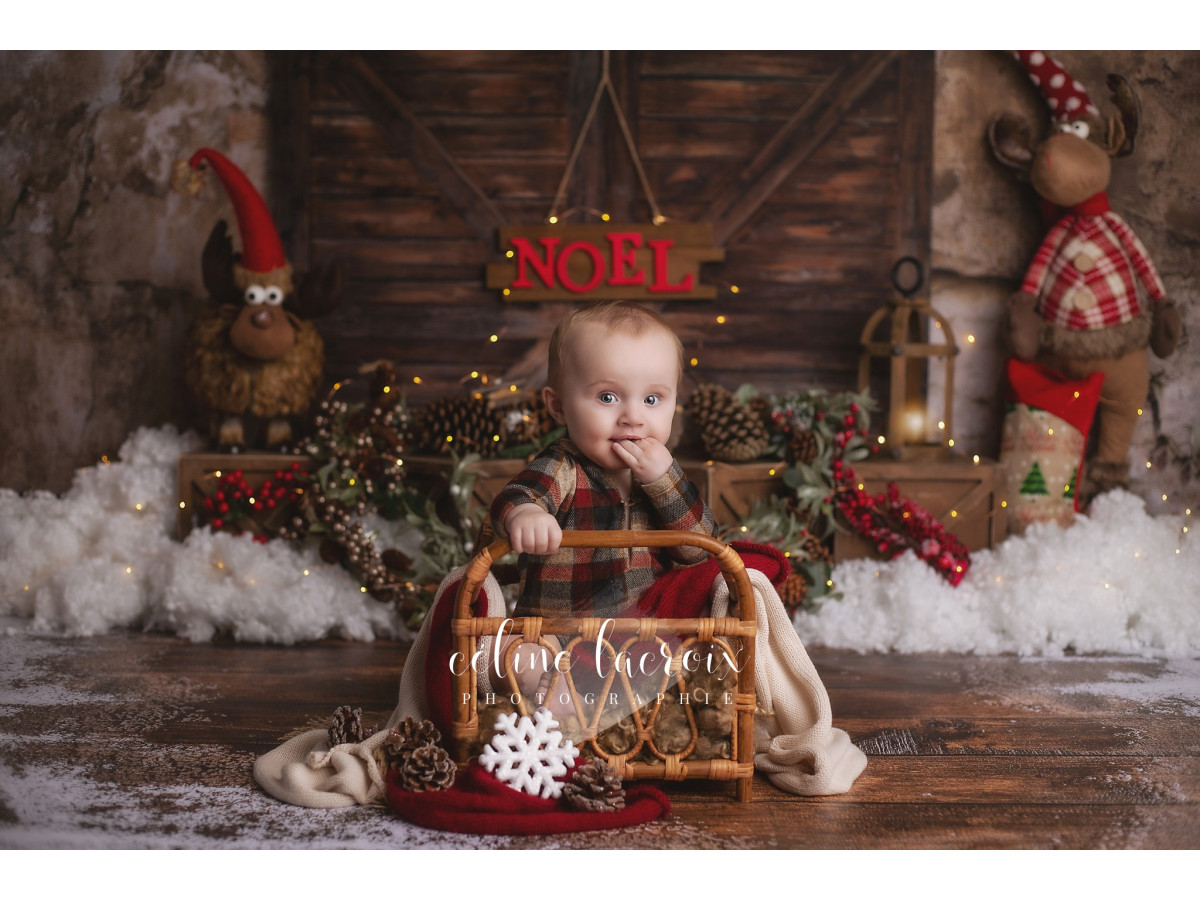 Fond photo de Noël Elk – porte de grange avec élans en peluche et panneau Noël | Colors&Drops