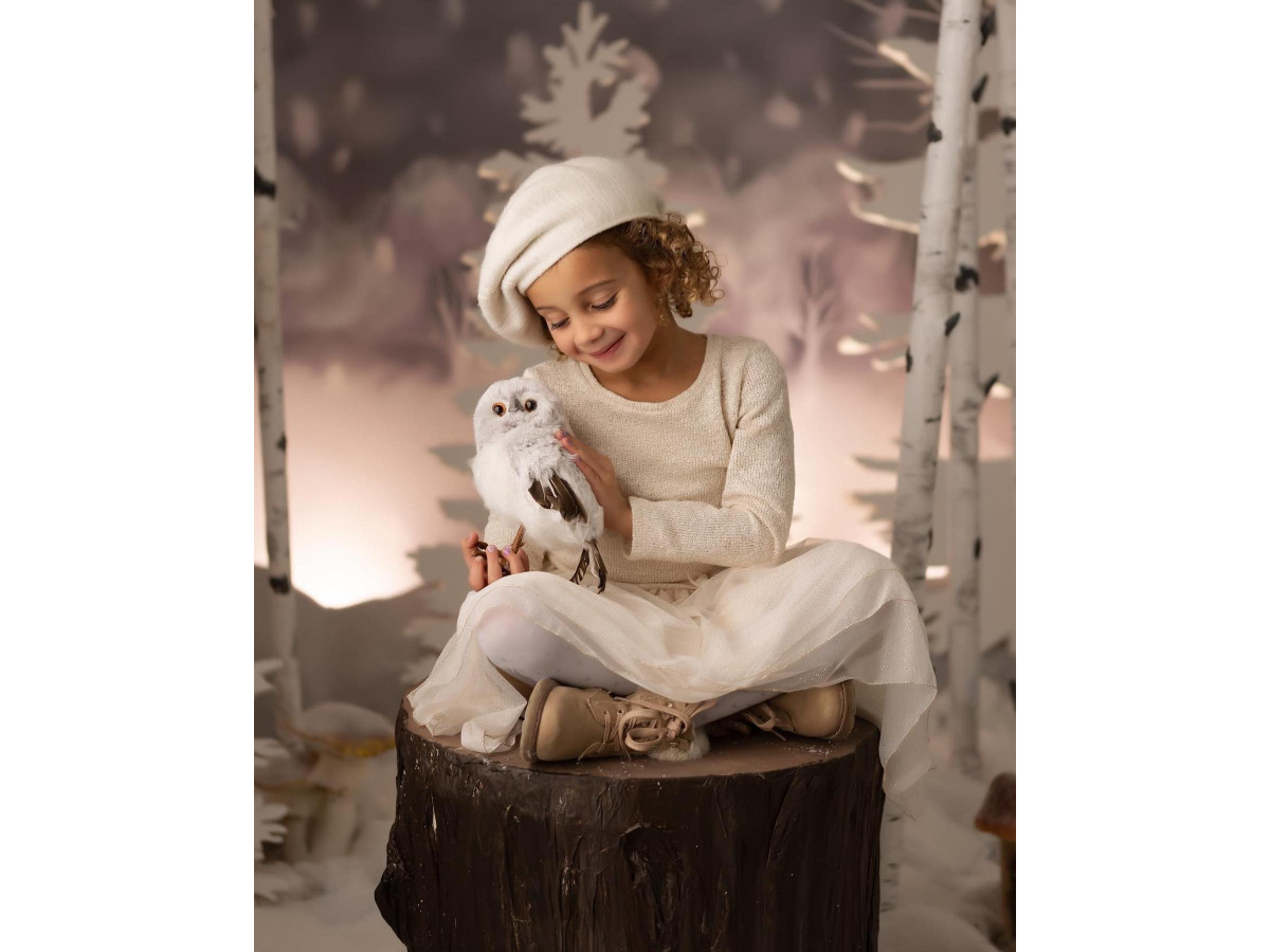 Fond photo de Noël White Tree – forêt de sapins blancs et bouleaux avec champignons | Colors&Drops