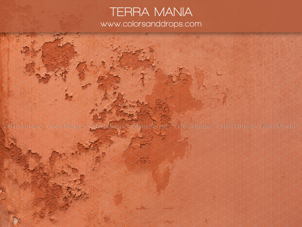 Fondo y suelo fotográficos terracota texturizados Terra Mania – pared enlucida terracota desconchada | Colors&Drops