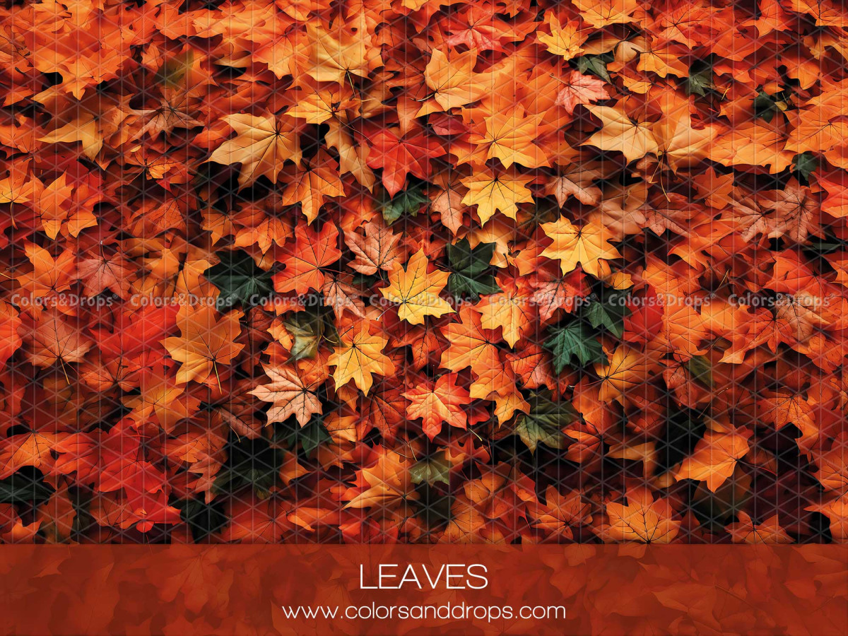 Fond et sol photo d'automne Leaves – tapis de feuilles d'érable d'automne | Colors&Drops