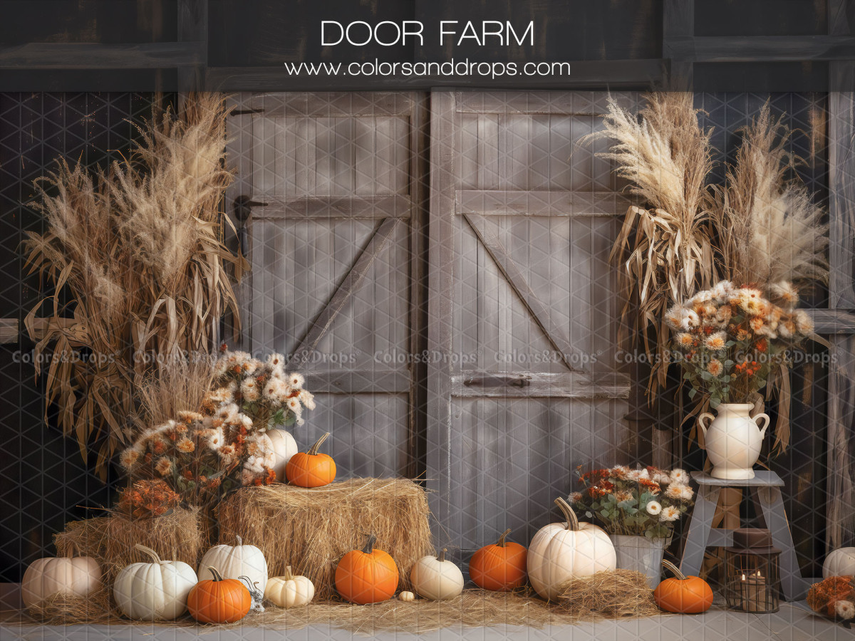 Fondo fotográfico de otoño Door Farm – puerta de granero gris con pampa, paja y calabazas | Colors&Drops