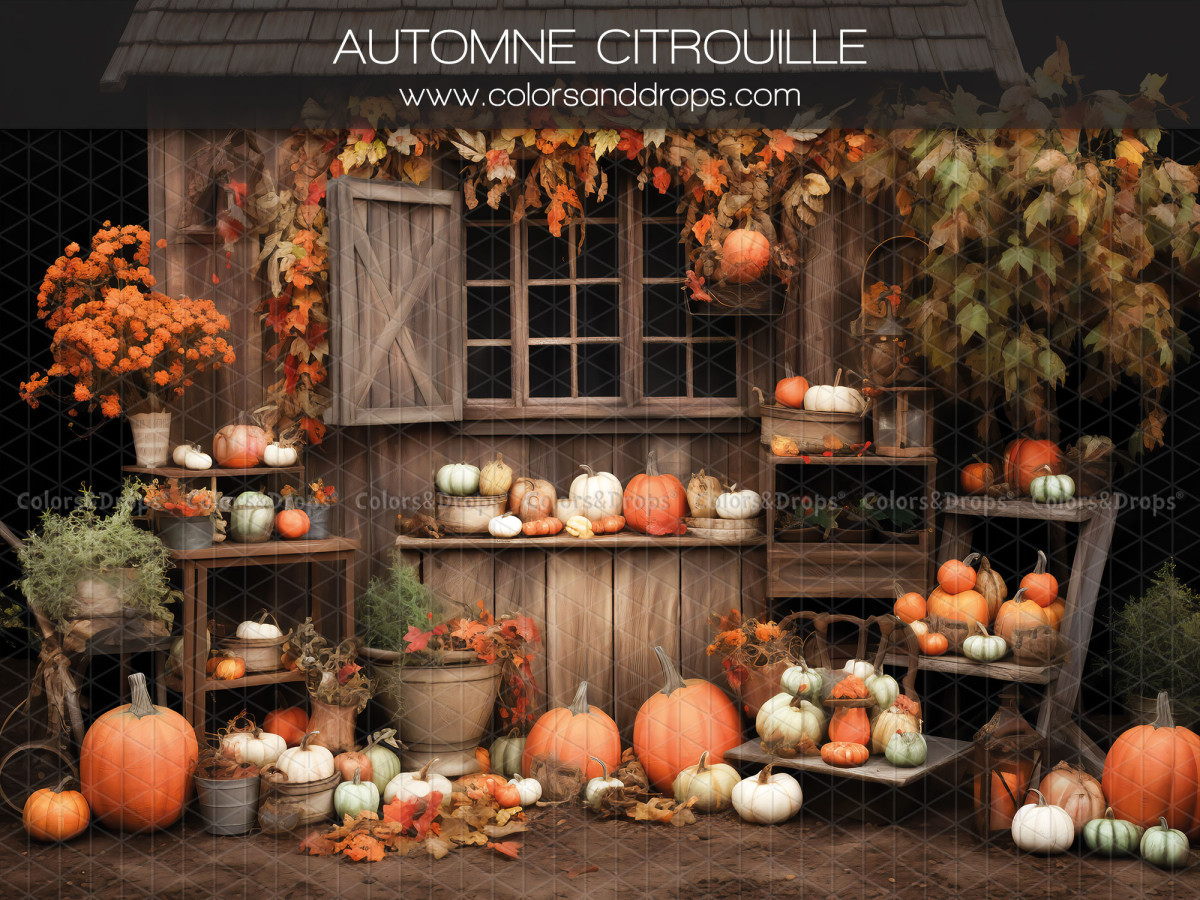 Fond photo Automne Citrouille – cabane en bois d'automne avec citrouilles et fenêtre | Colors&Drops