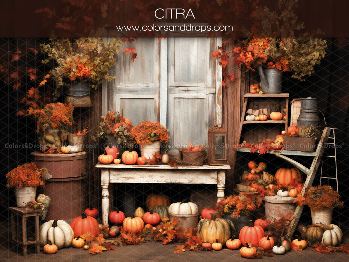 Autumn photo backdrop Citra – wooden facade with white window, console and pumpkins | Colors&Drops