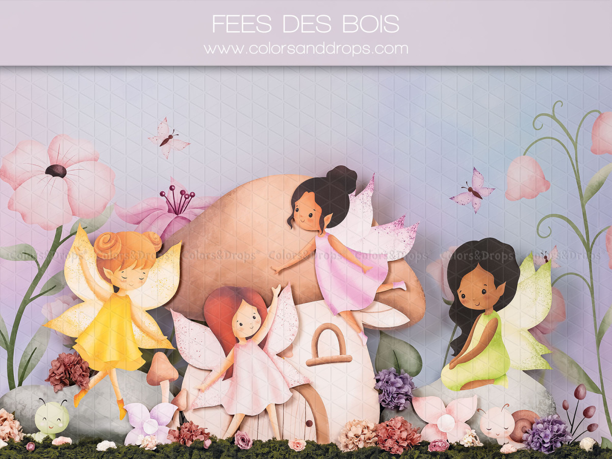 Fond photo bébé et smash cake Fee des Bois – fées des bois illustrées avec champignons et fleurs | Colors&Drops