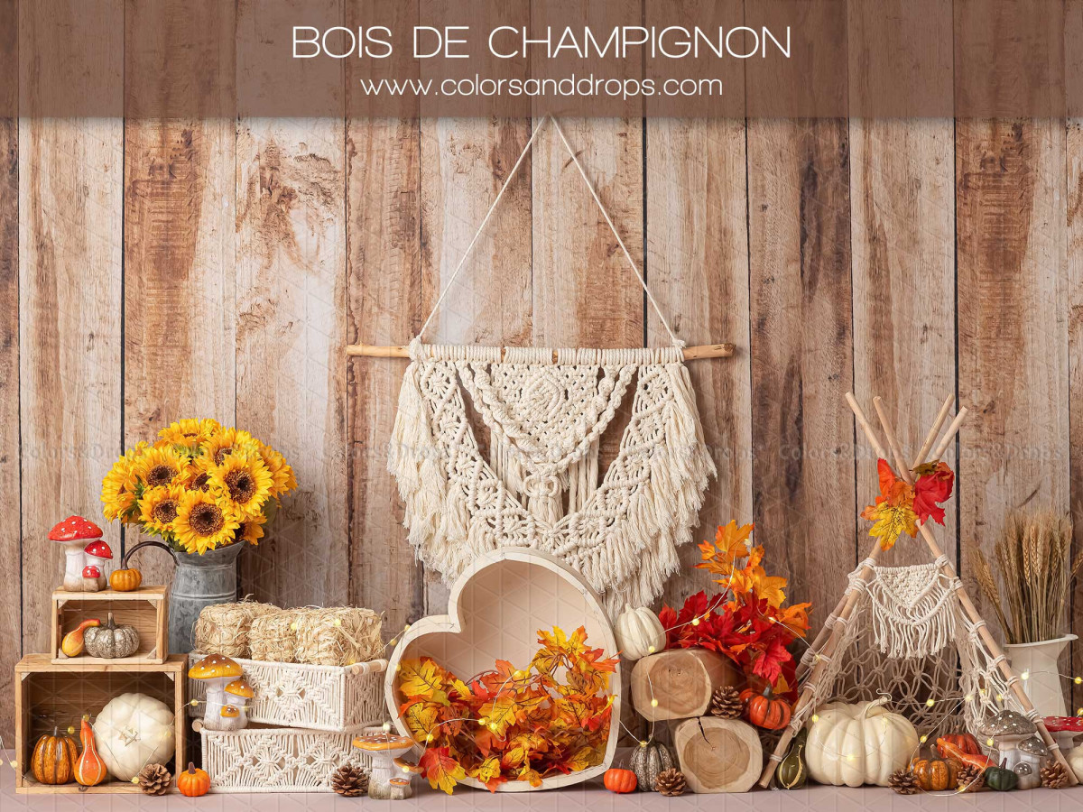 Fondo fotográfico de bebé y smash cake Bois de Champignon – decorado campestre con macramé, girasoles y calabazas | Colors&Drops