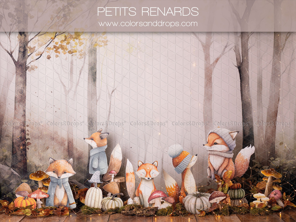 Fondo fotográfico de bebé y smash cake Petits Renards – zorros ilustrados con bufandas en un bosque otoñal | Colors&Drops