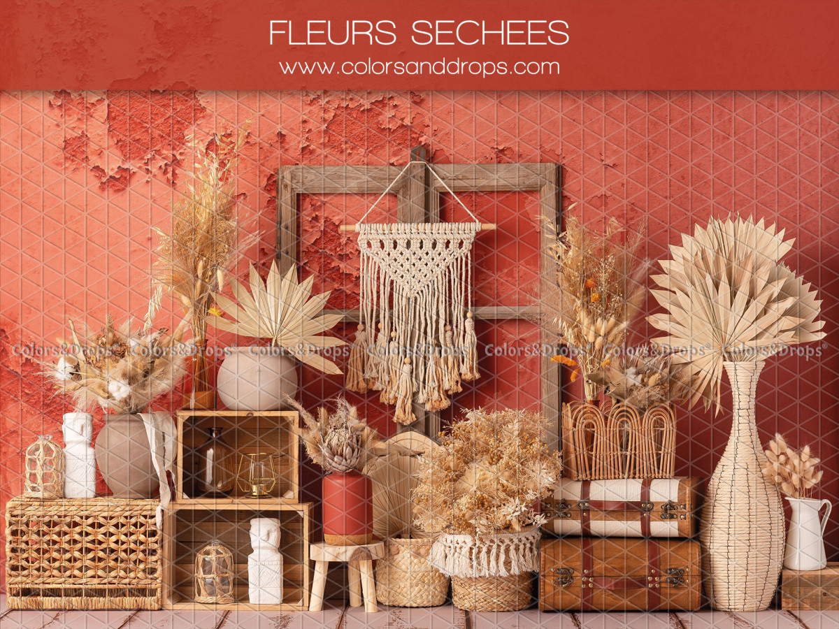 Baby & cake smash photo backdrop Fleurs Sechees – boho dried flower set with macramé on red wall | Colors&Drops