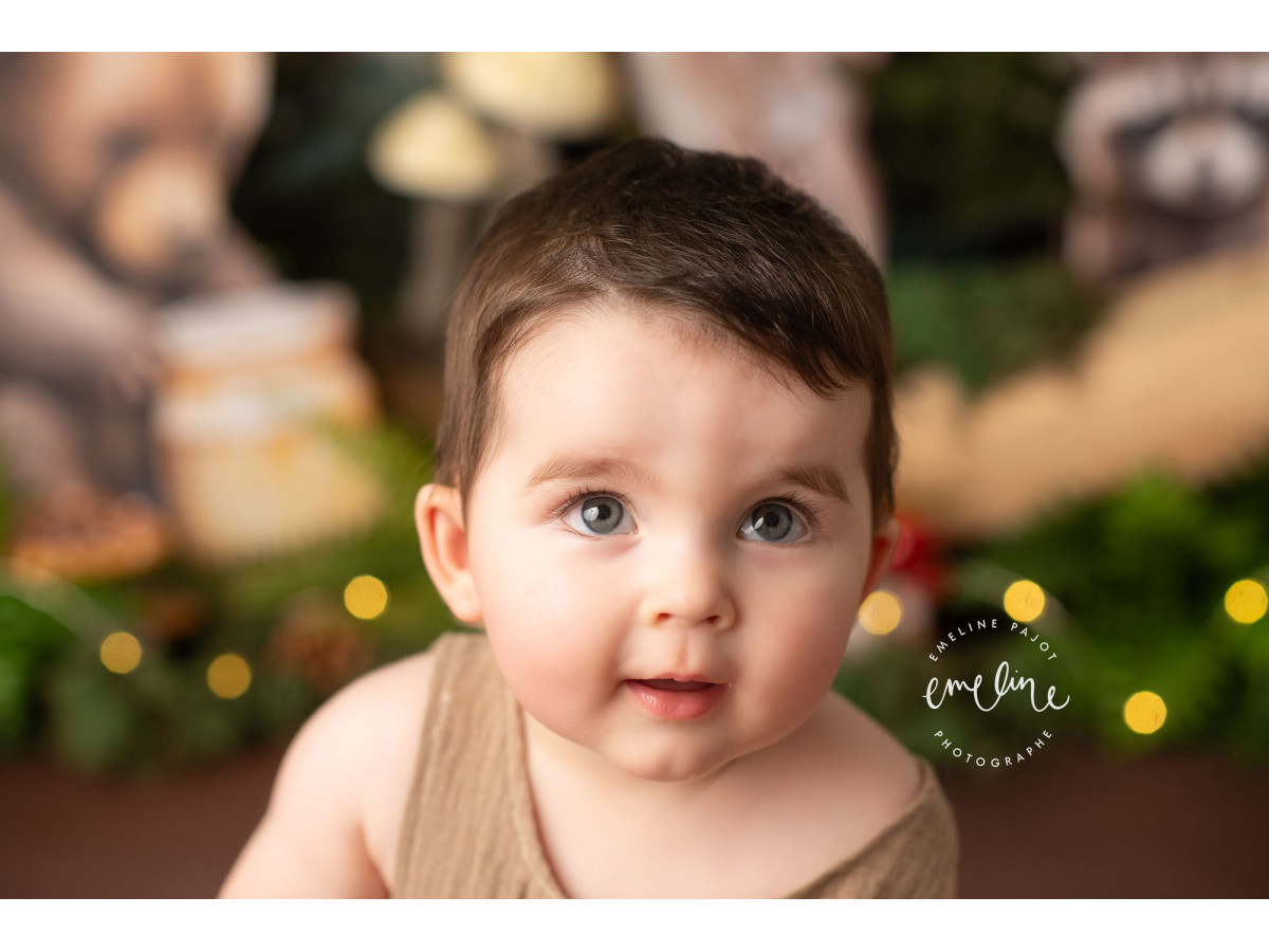 Baby & cake smash photo backdrop Animal Forest – illustrated woodland animals with owls, bear and fawns | Colors&Drops