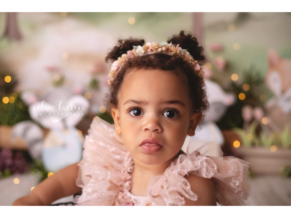 Fond photo bébé et smash cake Blaireaux – ourson, raton laveur, blaireau et renard illustrés dans un paysage | Colors&Drops