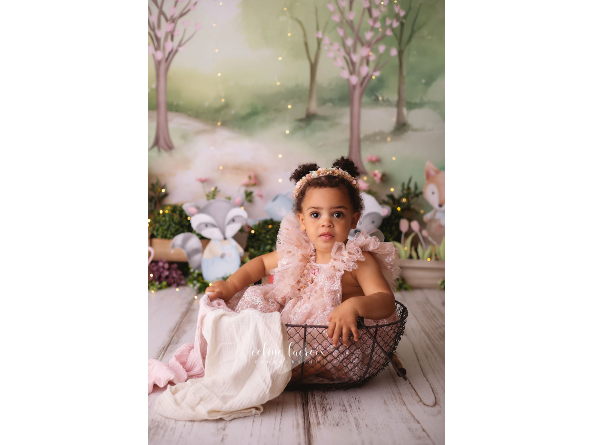 Fond photo bébé et smash cake Blaireaux – ourson, raton laveur, blaireau et renard illustrés dans un paysage | Colors&Drops