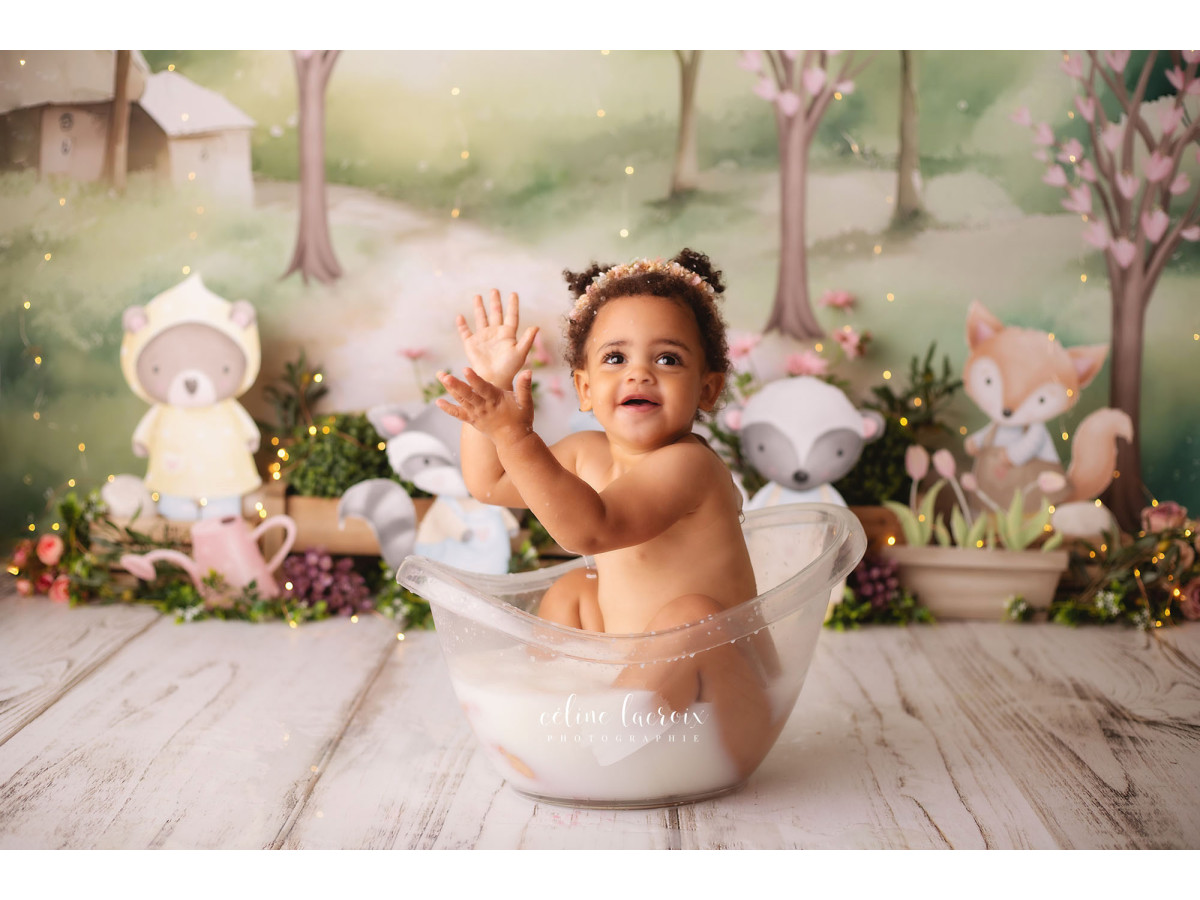 Fond photo bébé et smash cake Blaireaux – ourson, raton laveur, blaireau et renard illustrés dans un paysage | Colors&Drops