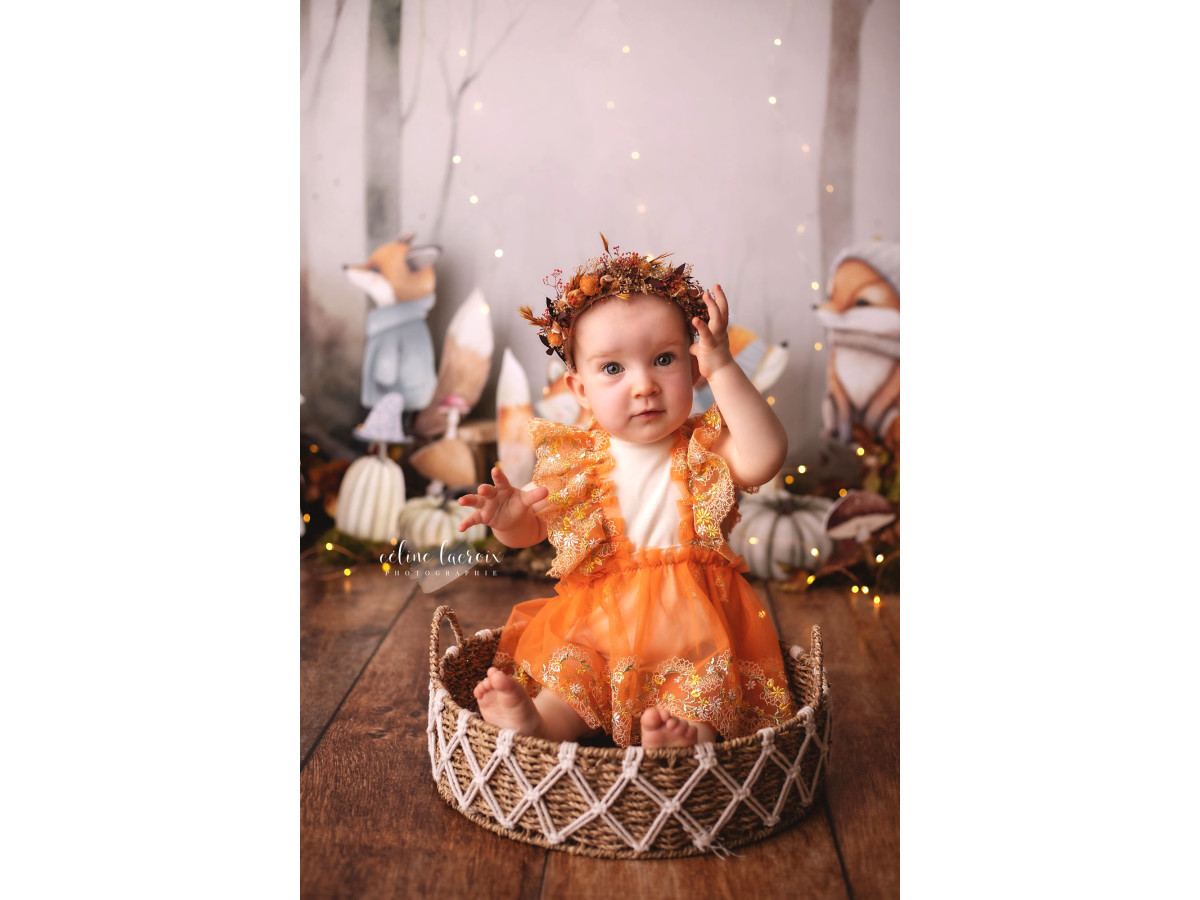 Fond photo bébé et smash cake Petits Renards – renards illustrés avec écharpes dans une forêt brumeuse d'automne | Colors&Drops