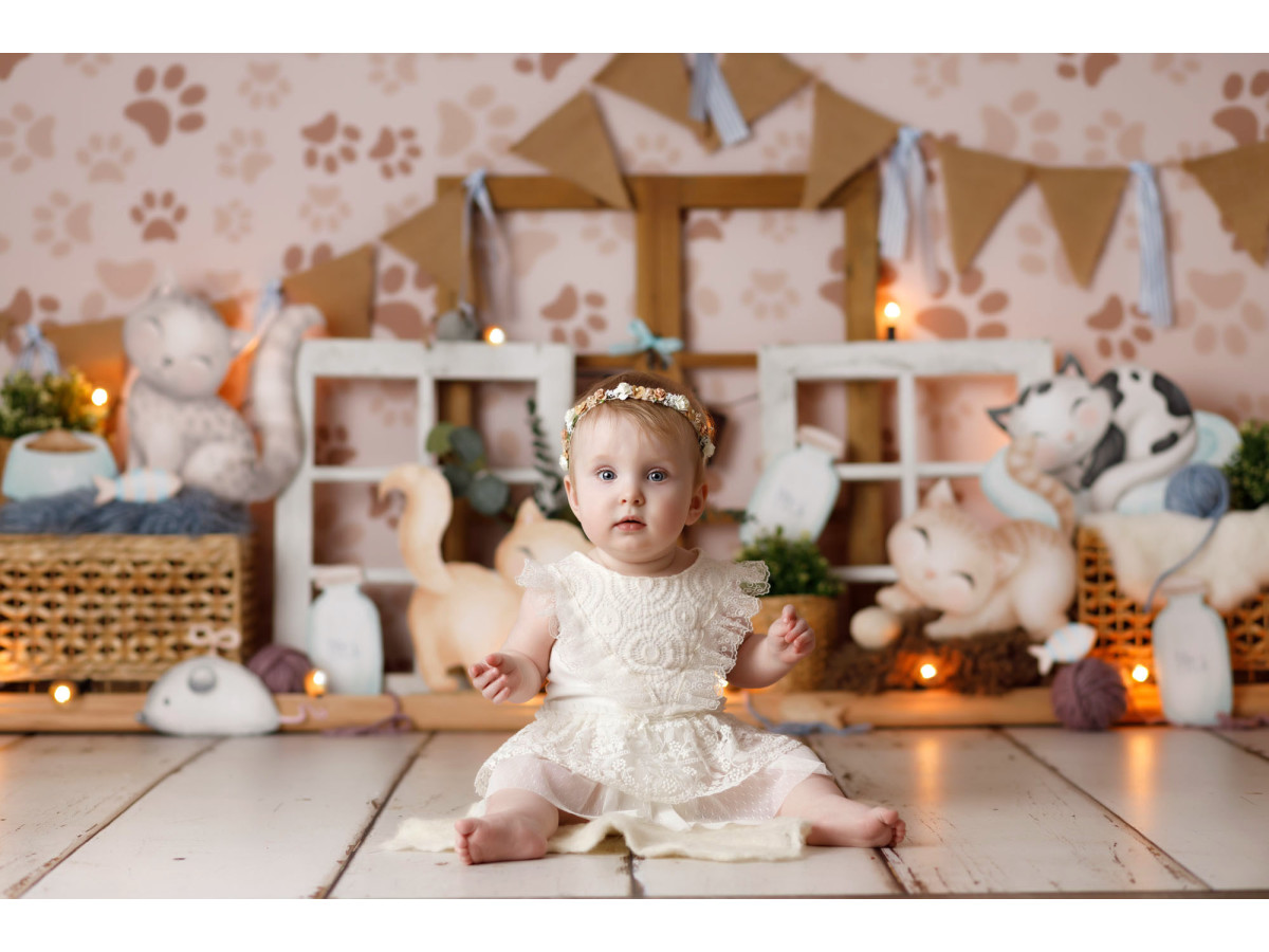 Fond photo bébé et smash cake Miaou – décor chats en peluche avec fanions et fenêtre | Colors&Drops