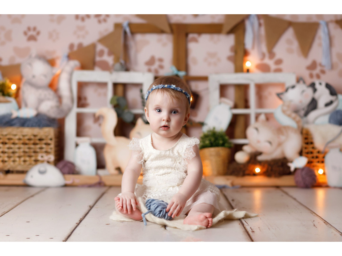 Fond photo bébé et smash cake Miaou – décor chats en peluche avec fanions et fenêtre | Colors&Drops