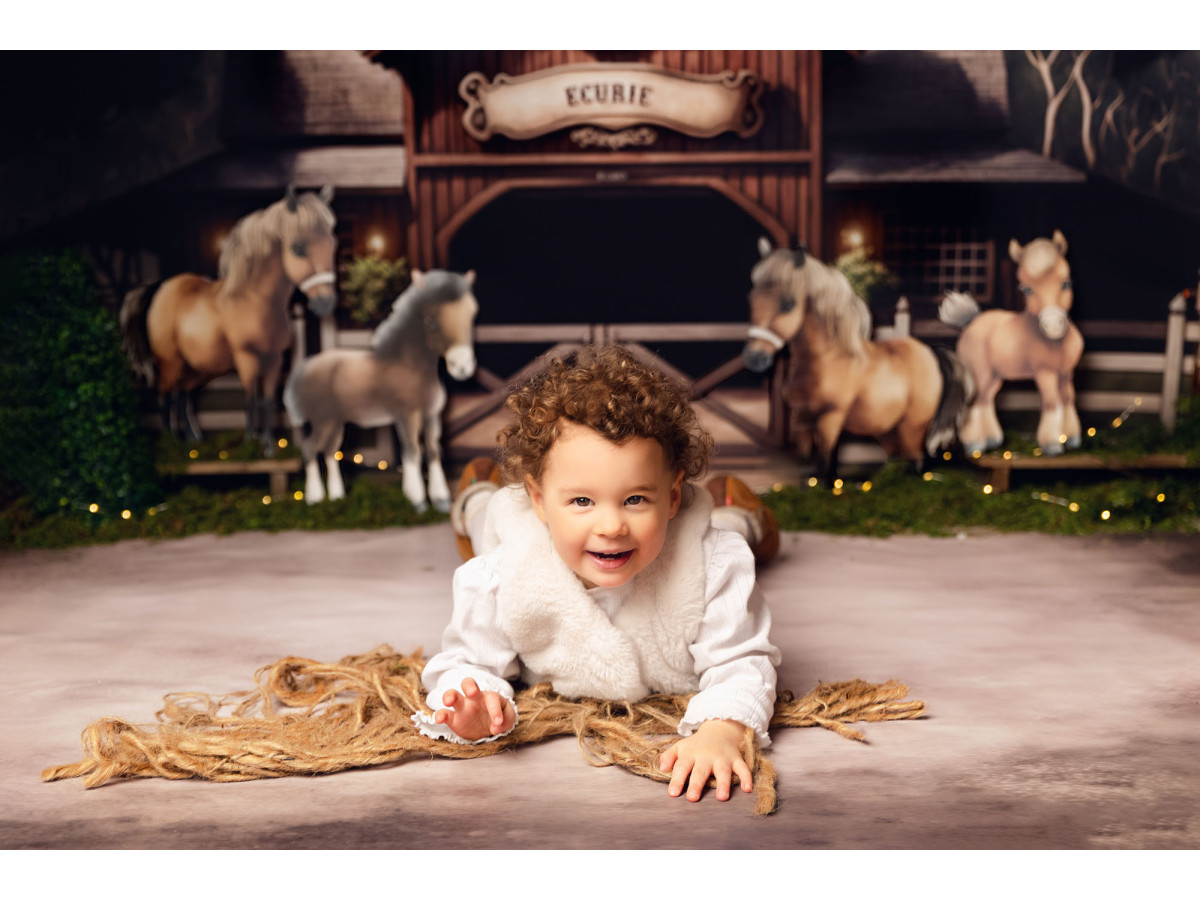 Fondo fotográfico de bebé y smash cake Ecurie – establo de madera con cuatro ponis y faroles | Colors&Drops