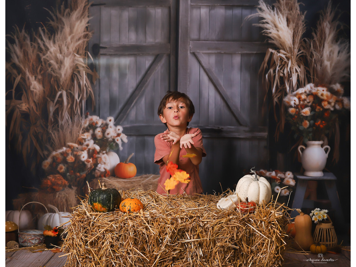 Fondo fotográfico de otoño Door Farm – puerta de granero gris con pampa, paja y calabazas | Colors&Drops