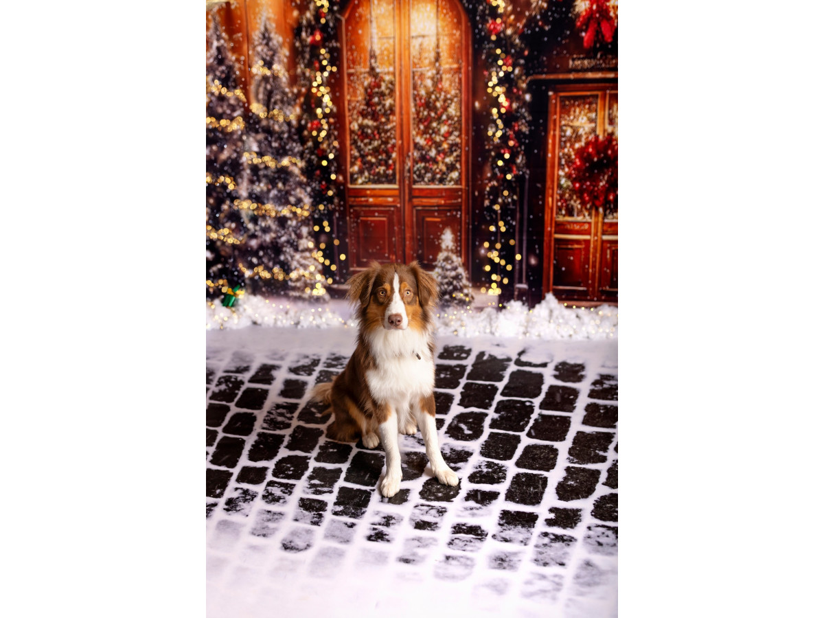 Fondo fotográfico de Navidad Art Door – puertas de madera arqueadas con coronas rojas y abetos | Colors&Drops