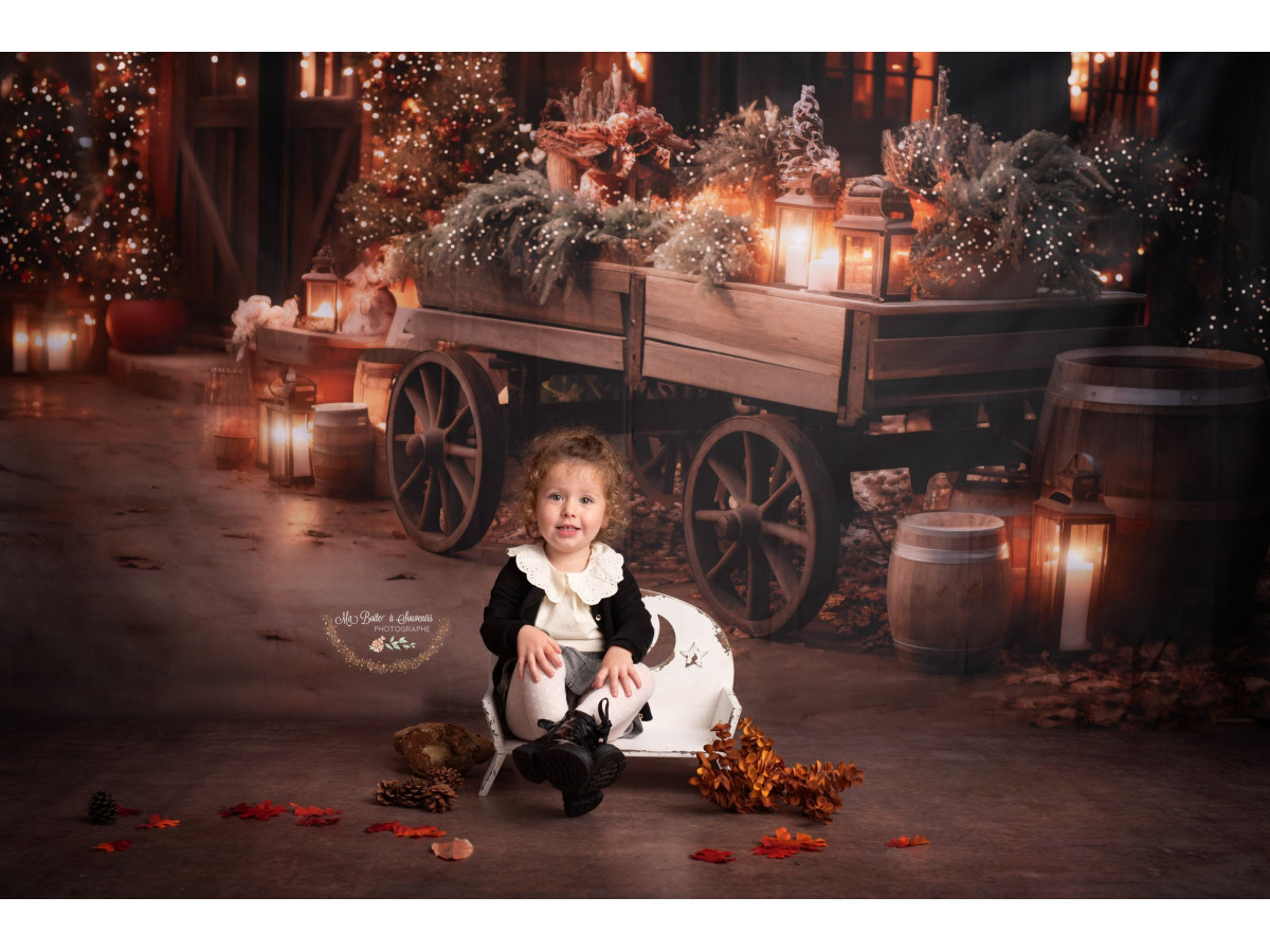 Fond photo Christmas Charrette – charrette de Noël en bois devant un chalet illuminé | Colors&Drops