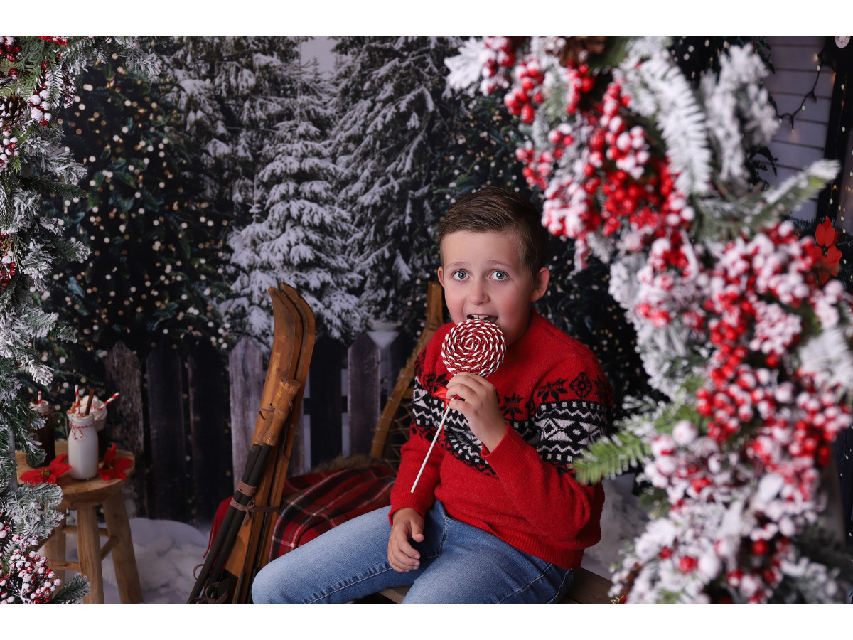 Christmas photo backdrop Home Sweet Home – house porch decorated for Christmas with red door | Colors&Drops