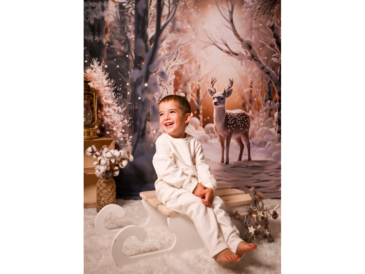 Fond photo d'angle de Noël Winter Dear + Winter Dear Floor – cerf en forêt d'hiver avec sol de neige tassée | Colors&Drops