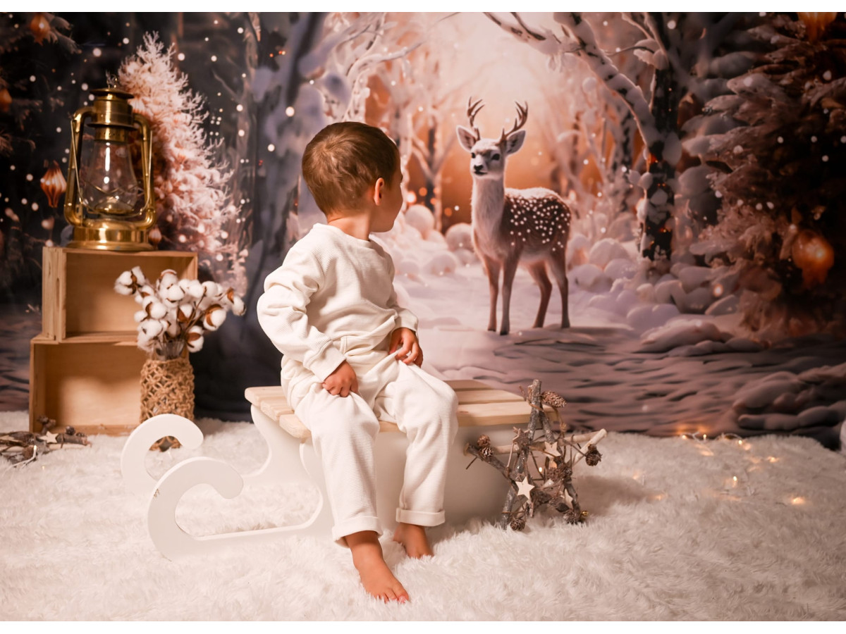 Fond photo d'angle de Noël Winter Dear + Neige – forêt d'hiver avec cerf et sol enneigé | Colors&Drops