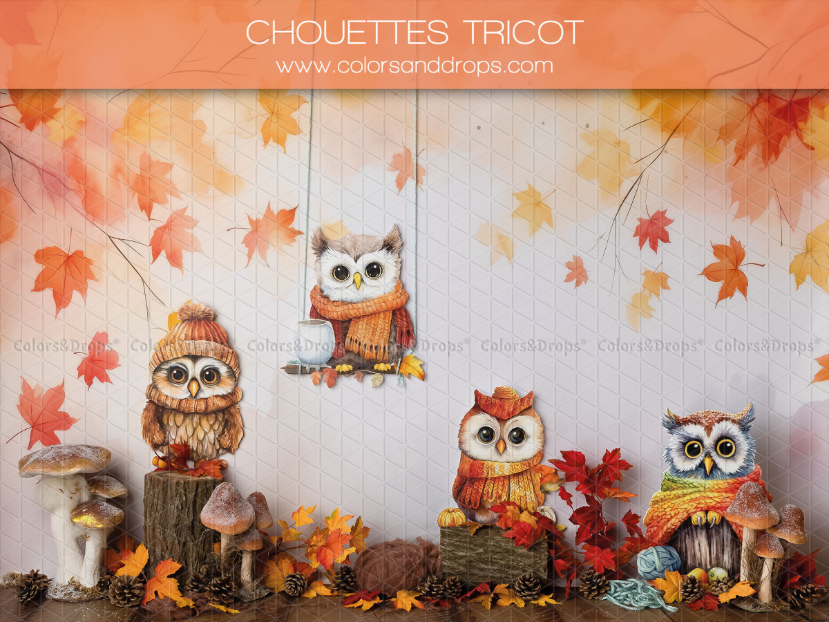 Fond photo bébé et smash cake Chouettes Tricot – chouettes en tricot avec feuilles d'automne et champignons | Colors&Drops