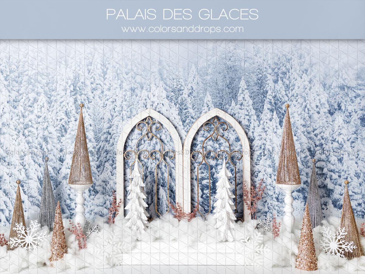 Fond photo bébé et smash cake Palais des Glaces – palais de glace aux arches gothiques en forêt enneigée | Colors&Drops