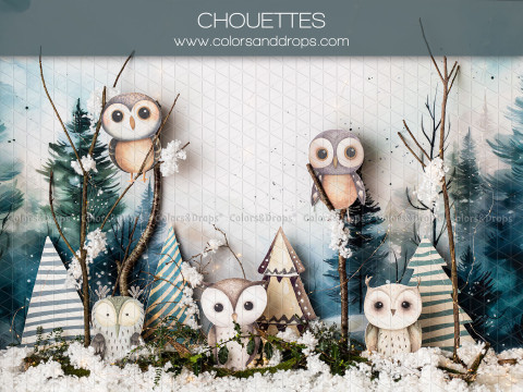 Fondo fotográfico de bebé y smash cake Chouettes – búhos de peluche en un bosque invernal | Colors&Drops