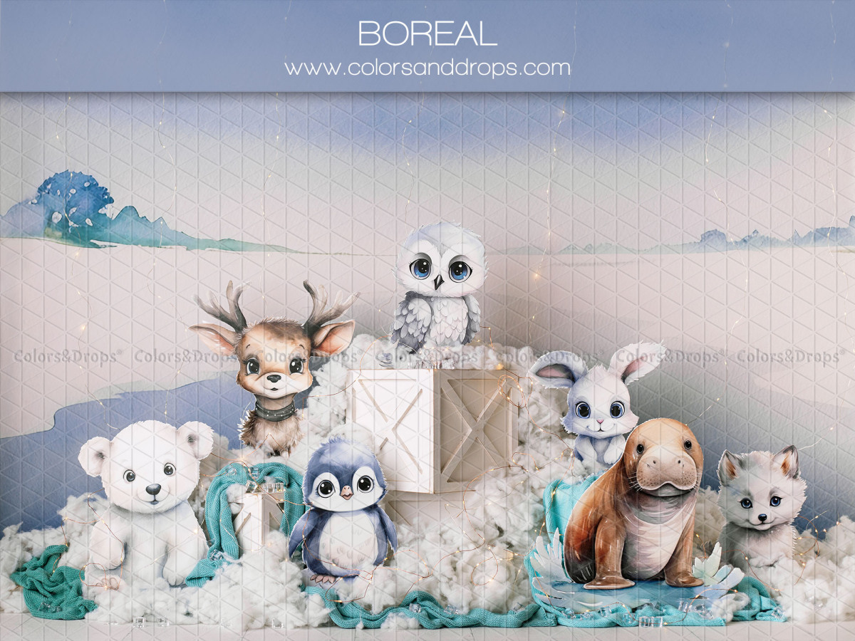 Fond photo bébé et smash cake Boreal – animaux polaires en peluche sur la banquise | Colors&Drops