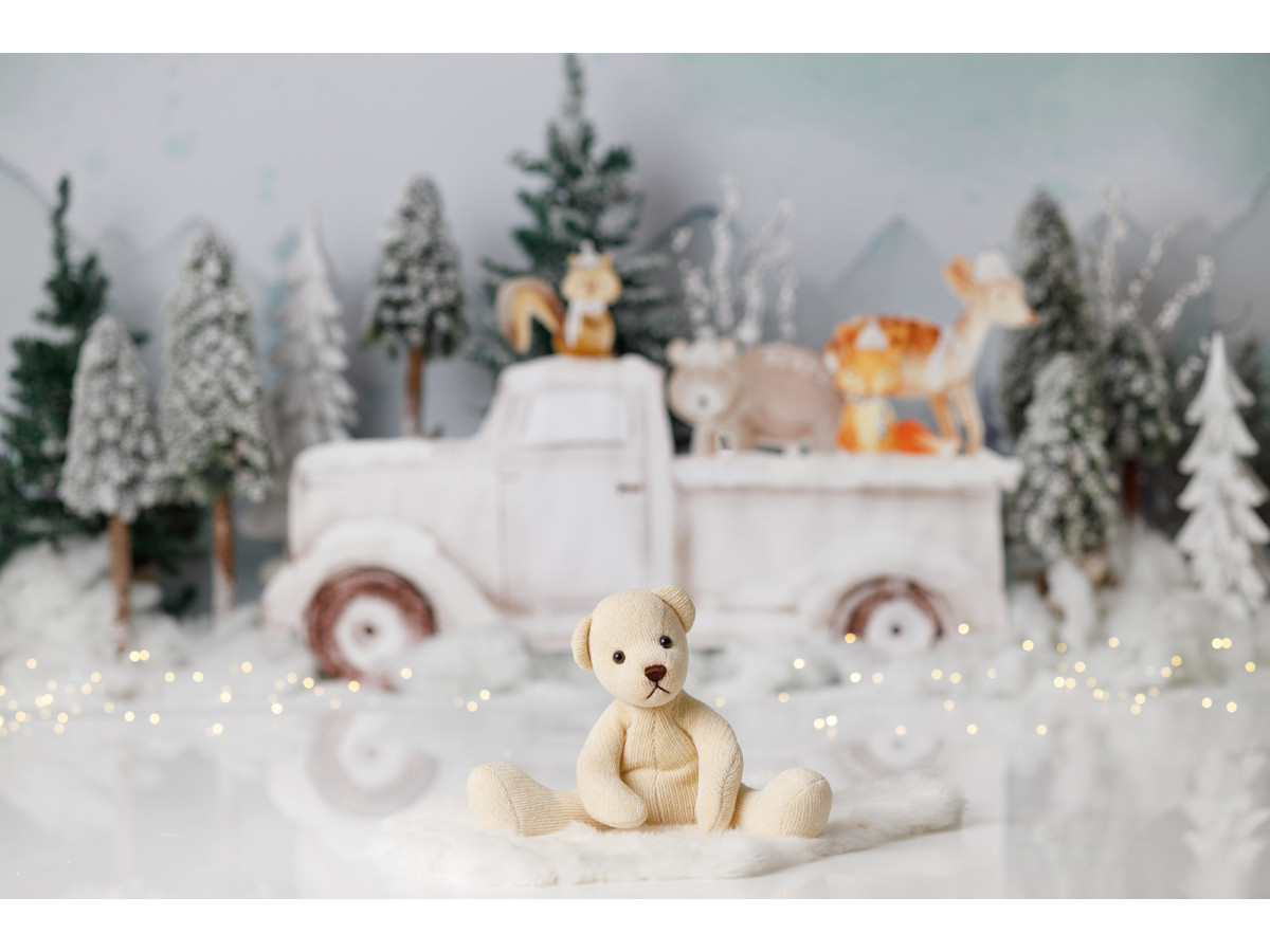 Fondo fotográfico de bebé y smash cake Truck Animal – pick-up blanco con animales de peluche en bosque nevado | Colors&Drops