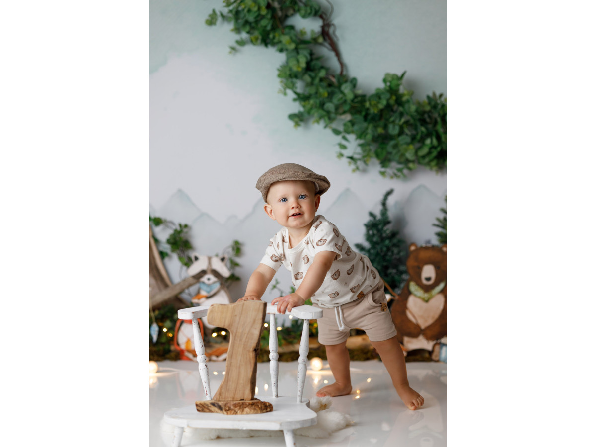 Fondo fotográfico de bebé y smash cake Bivouac – vivac en el bosque con tienda, zorro y oso de peluche | Colors&Drops