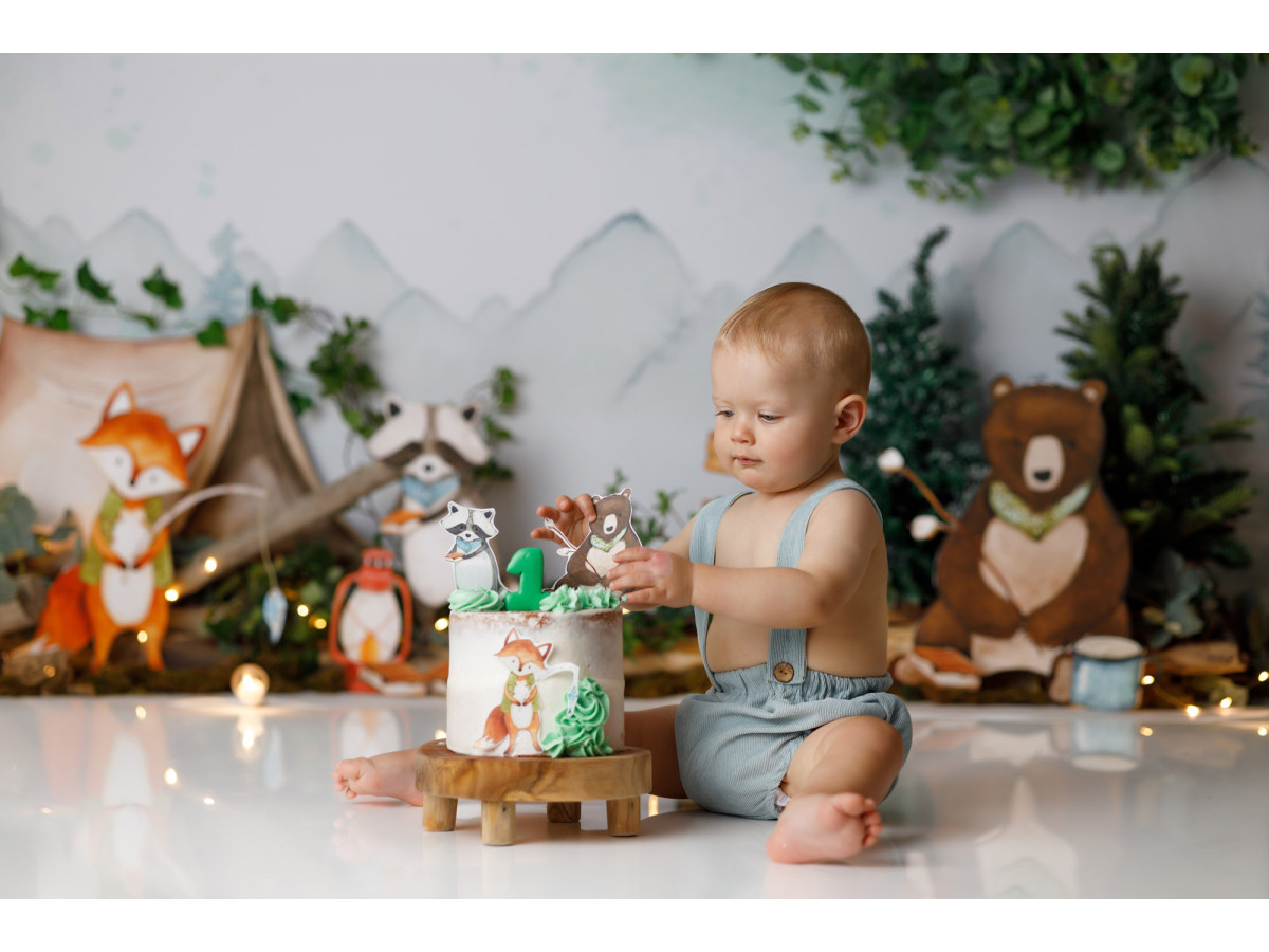 Fondo fotográfico de bebé y smash cake Bivouac – vivac en el bosque con tienda, zorro y oso de peluche | Colors&Drops