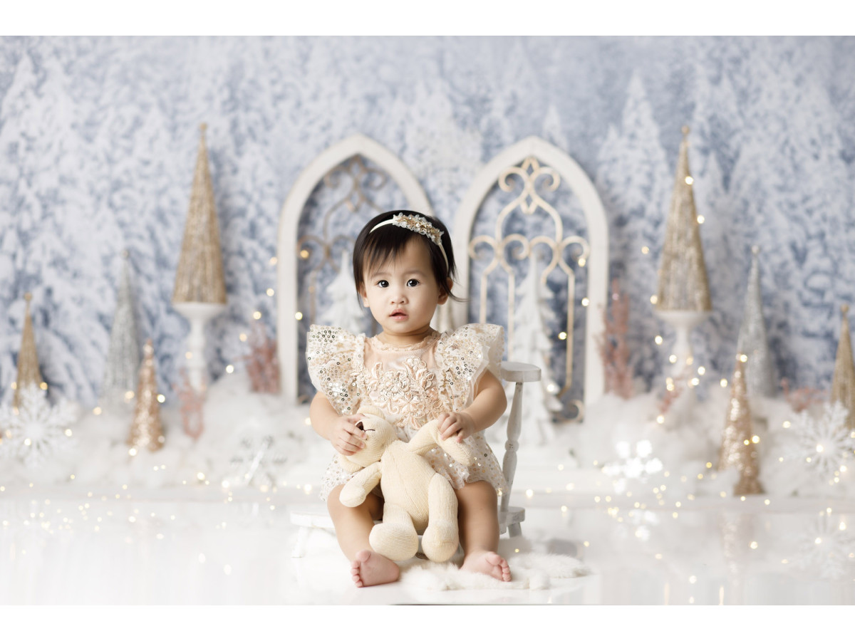 Fondo fotográfico de bebé y smash cake Palais des Glaces – palacio de hielo con arcos góticos en bosque nevado | Colors&Drops