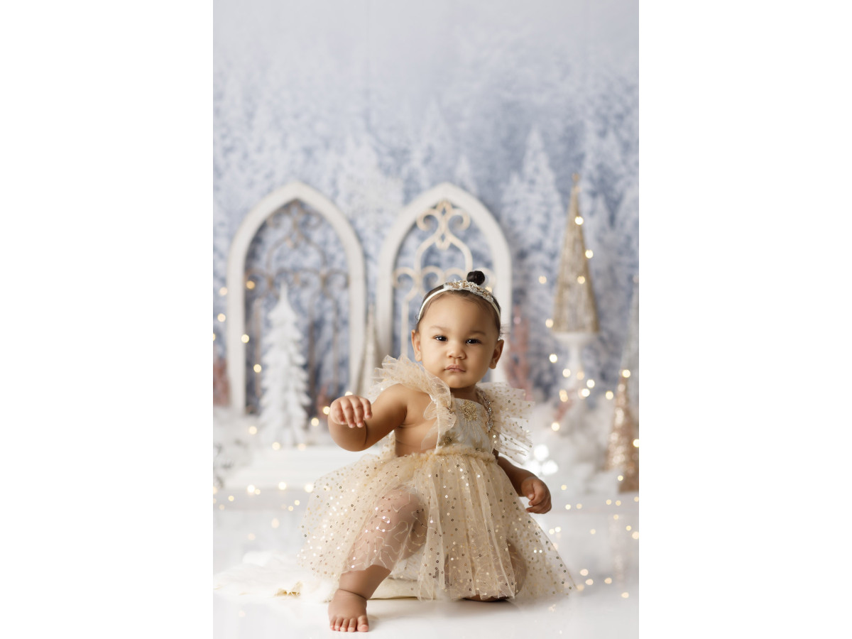 Fond photo bébé et smash cake Palais des Glaces – palais de glace aux arches gothiques en forêt enneigée | Colors&Drops