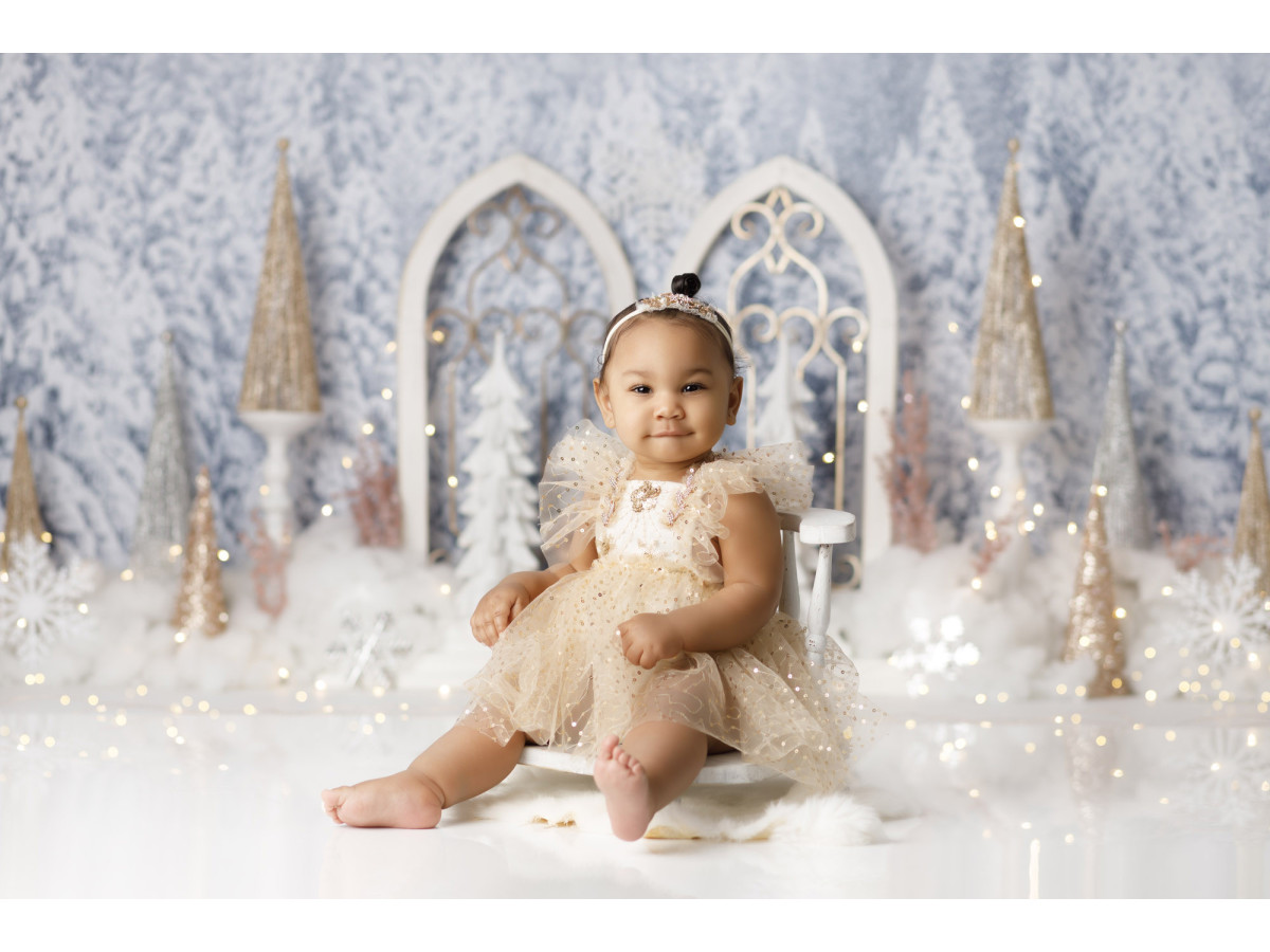 Fondo fotográfico de bebé y smash cake Palais des Glaces – palacio de hielo con arcos góticos en bosque nevado | Colors&Drops