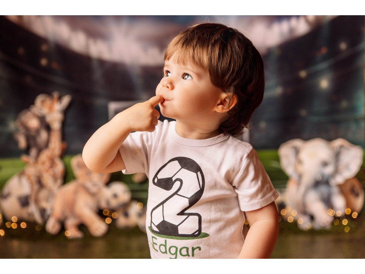 Fondo fotográfico de bebé y smash cake Foot – estadio de fútbol con animales de peluche y balones | Colors&Drops