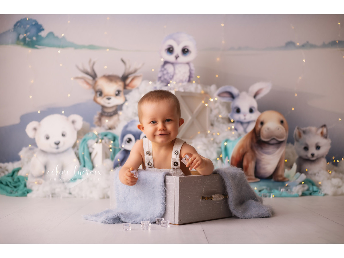 Fond photo bébé et smash cake Boreal – animaux polaires en peluche sur la banquise | Colors&Drops