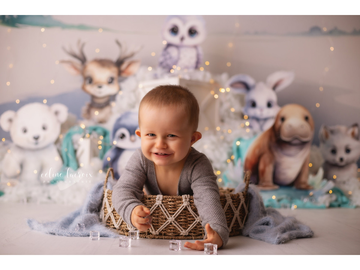 Fond photo bébé et smash cake Boreal – animaux polaires en peluche sur la banquise | Colors&Drops
