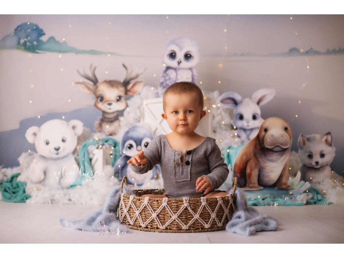 Fond photo bébé et smash cake Boreal – animaux polaires en peluche sur la banquise | Colors&Drops