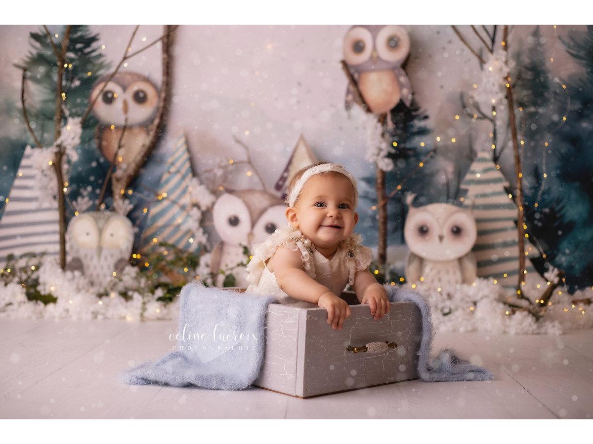 Baby & cake smash photo backdrop Chouettes – plush owls in a winter forest | Colors&Drops
