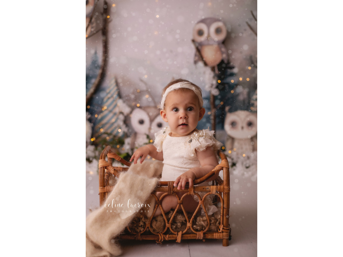 Fondo fotográfico de bebé y smash cake Chouettes – búhos de peluche en un bosque invernal | Colors&Drops