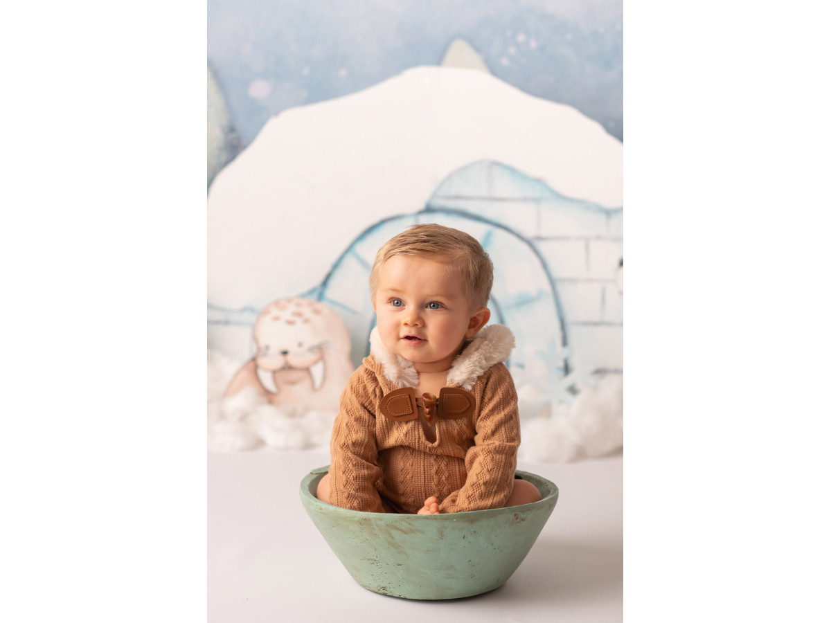 Fondo fotográfico de bebé y smash cake Glacial – iglú con animales polares y montañas de hielo | Colors&Drops