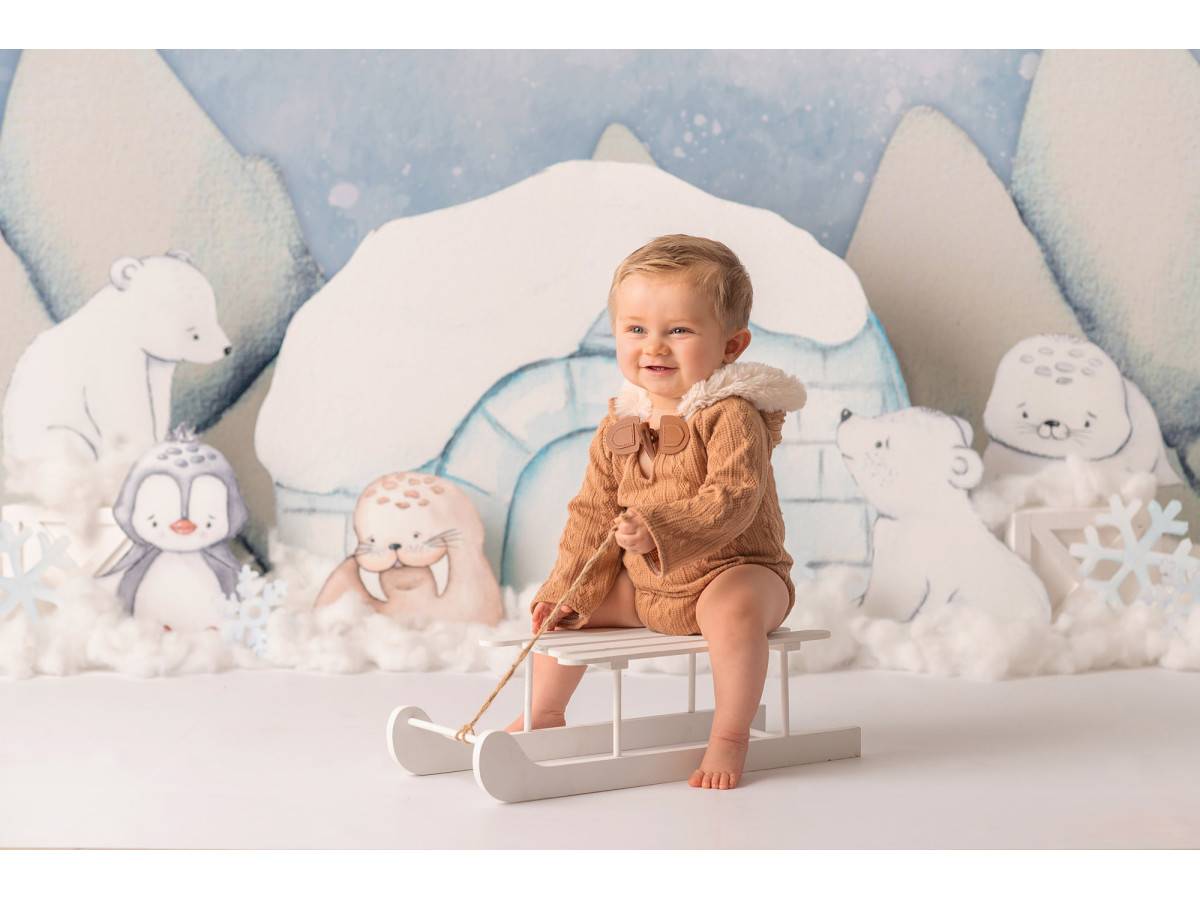 Fond photo bébé et smash cake Glacial – igloo avec animaux polaires et montagnes de glace | Colors&Drops