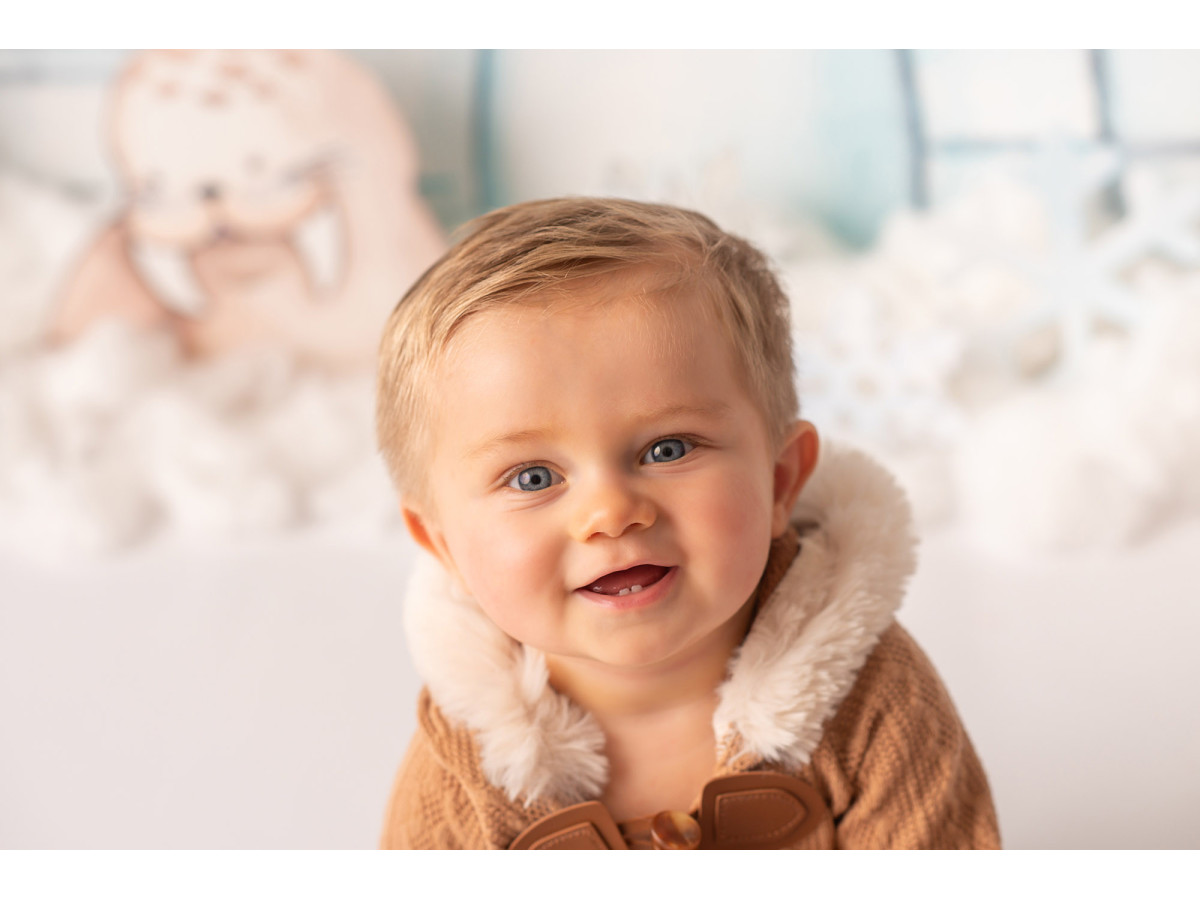 Fond photo bébé et smash cake Glacial – igloo avec animaux polaires et montagnes de glace | Colors&Drops