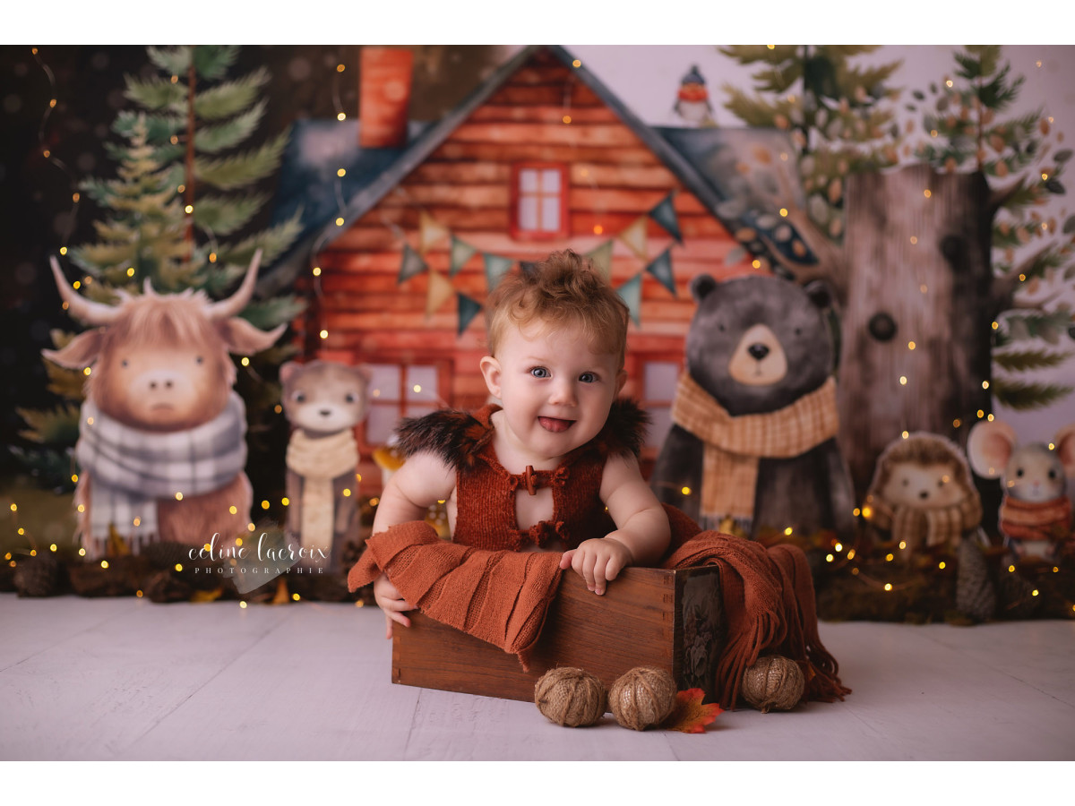 Baby & cake smash photo backdrop Chalet des Pins – pine chalet with plush forest animals | Colors&Drops